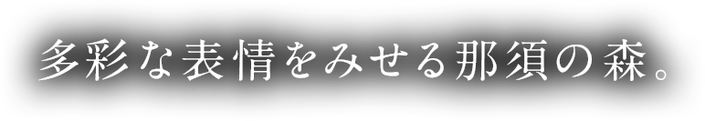 多彩な表情をみせる那須の森。